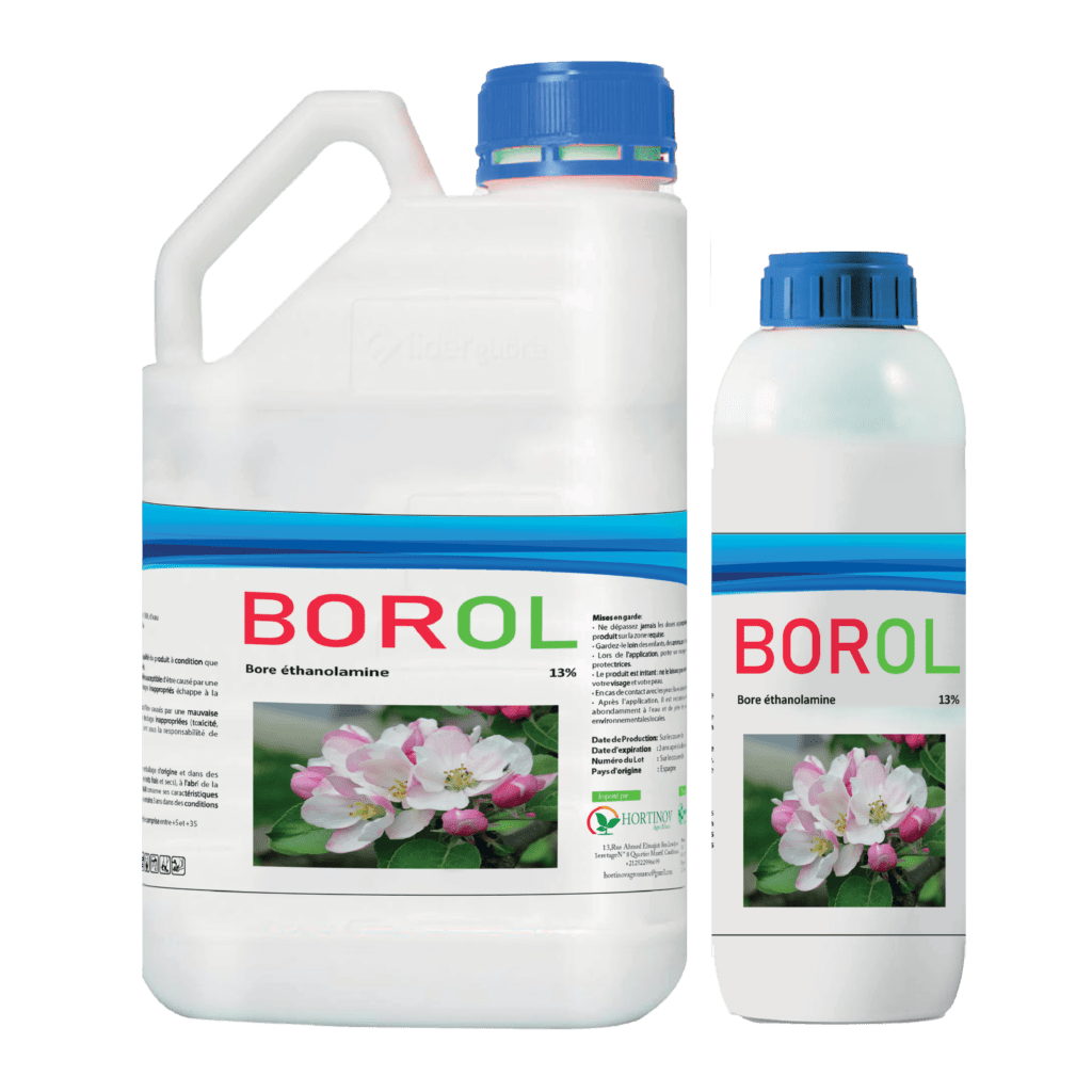 BOROL