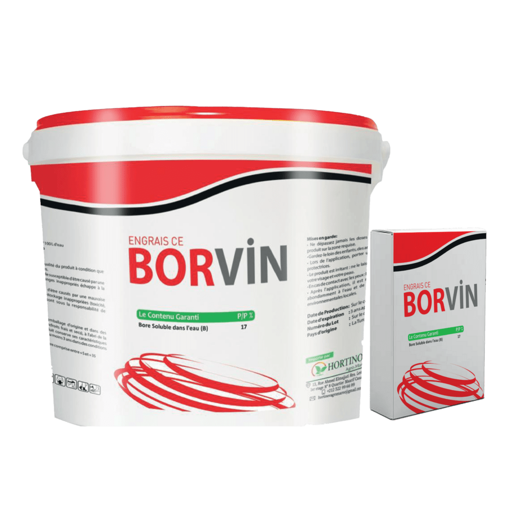 BORVIN-B17
