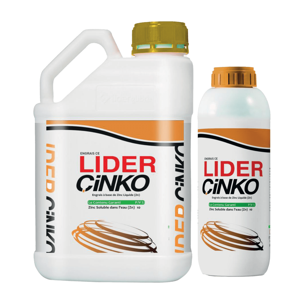 LIDER CINKO