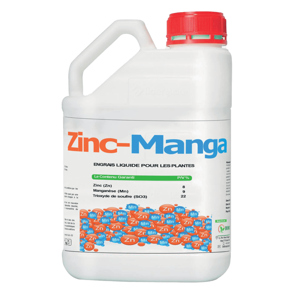 ZINC-MANGA