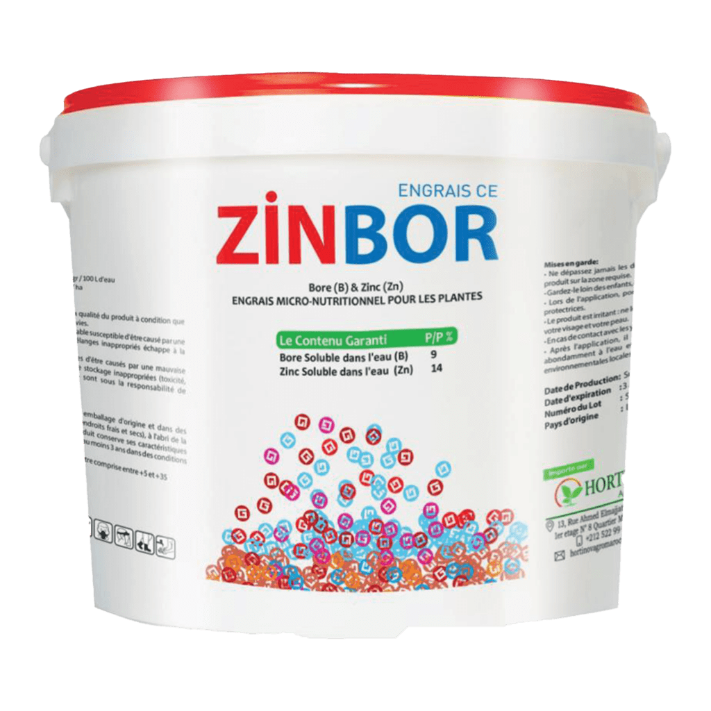 ZINBOR