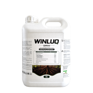 WINLUQ-complex